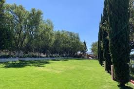 Jardín pavorreales_4