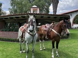 cabalgata_1
