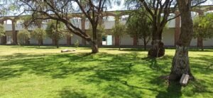 jardín arcos