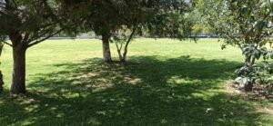 jardín capilla