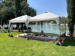 picnic_1
